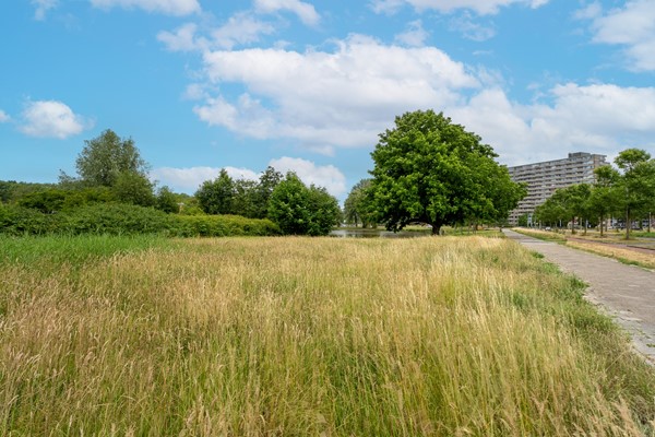 Medium property photo - Valkreek 100, 3079 AP Rotterdam